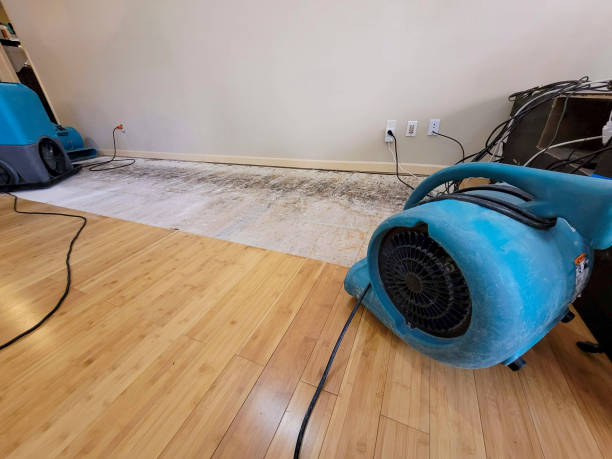 Professional Water Extraction technician working in Longmeadow, MA